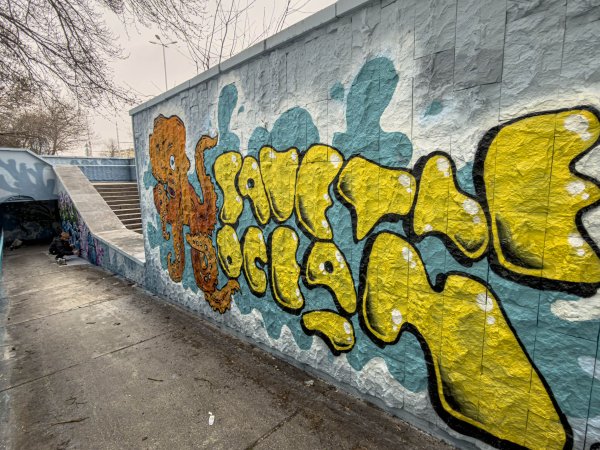 Димитър Кьосемарлиев, Dnes.bg